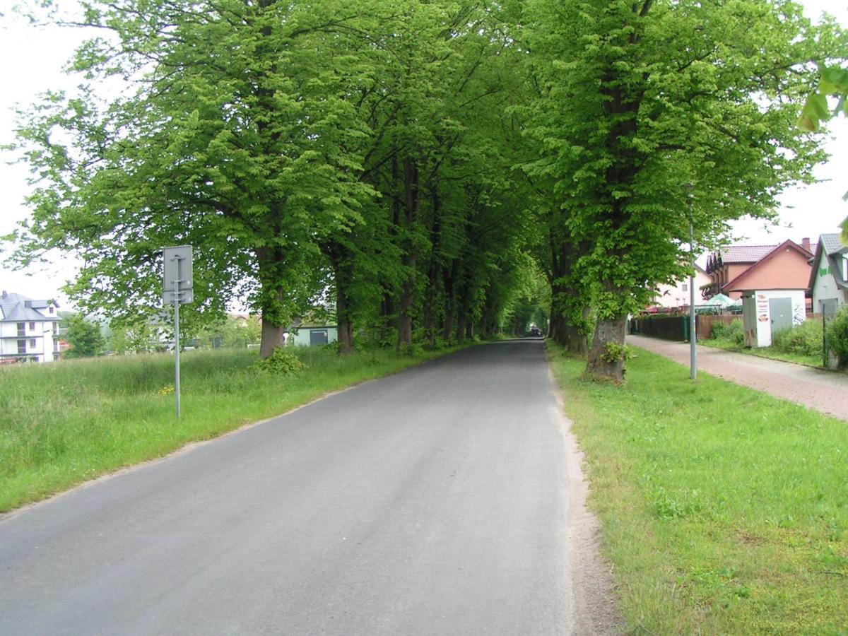 Wantaris - Domki Letniskowe Z Ogrodkiem Großmöllen Exterior foto